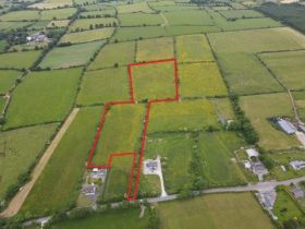 C. 9.74 Acres of Agricultural Land at Ballyleagh, Leamlara, Co. Cork in 2 Lots