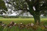 Cottage Rathgobane Leamlara Leahy (12).JPG