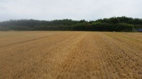 Ightermurragh, Ladysbridge, Cork. C.16.5 Acre