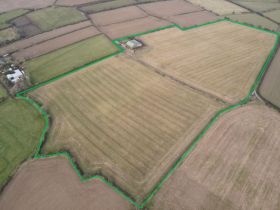 C. 24.4 Acres (9.885 Hectares) of Prime Agricultural Land with Stables and Sheds at Ballinrostig, Ballyvaloon, Whitegate, Co. Cork.