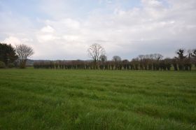 C. 1.3 Acre A3 Zoned Site at Ballydonaghmore, Dungourney, Co. Cork