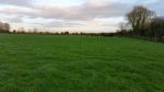 Ballinabointra Pics (3).jpg