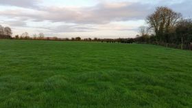 C.17 Acres Non Residential Holding at Ballinabointra, Midleton, Co. Cork.