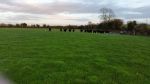Ballinabointra Pics (1).jpg