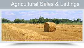 Agricultural Property for Sale